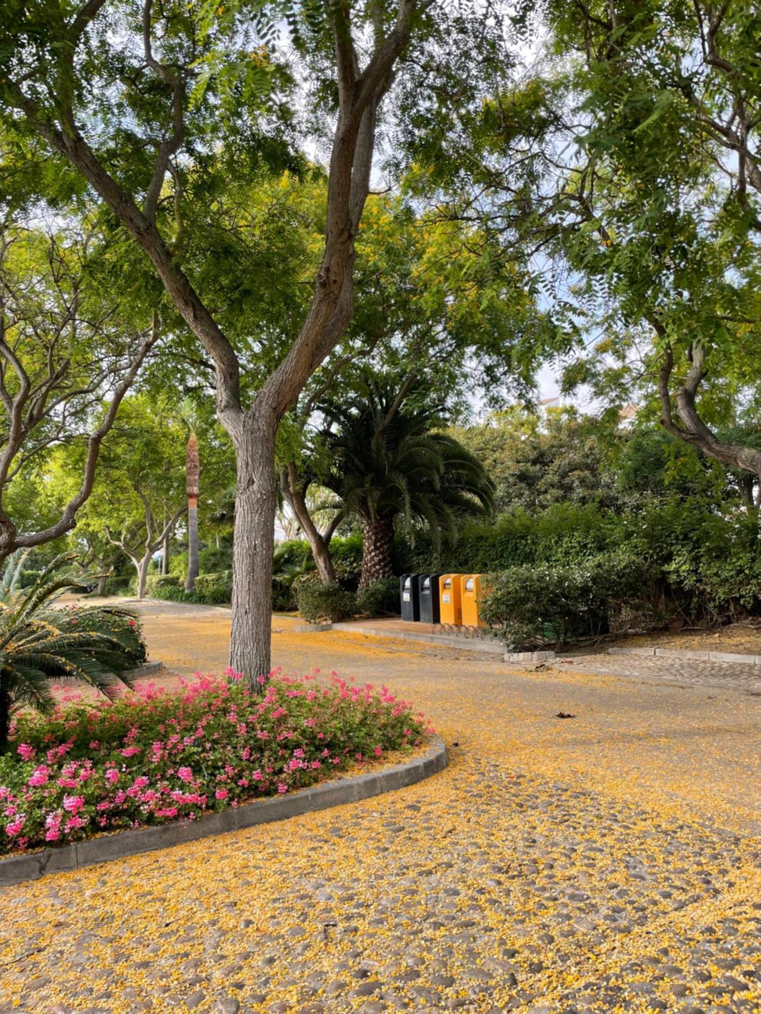 Relax&Sunset Appartement Costa Ballena Rota Exterior foto